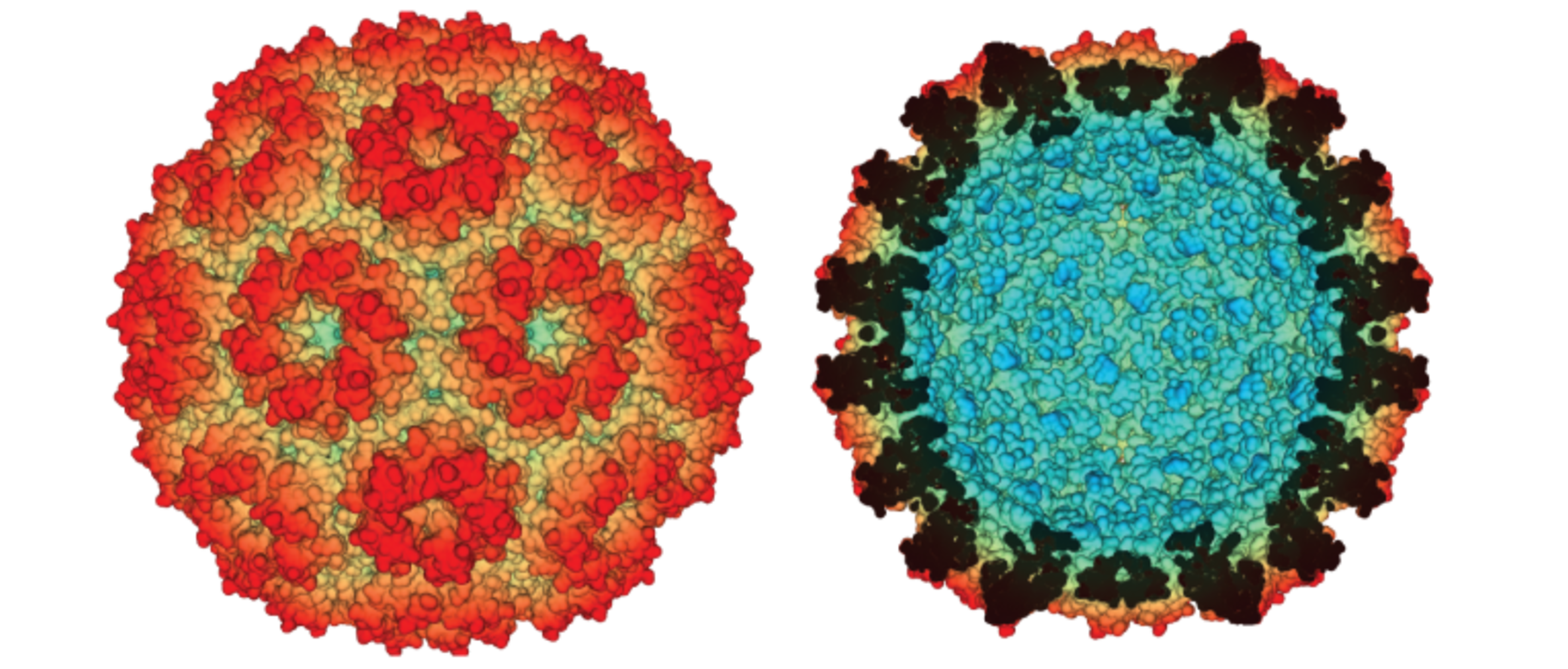 Vinothan Manoharan's lab
